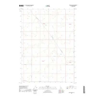 2020 Map of Coffee Point NE, 2020 Print