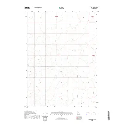 2020 Map of Coffee Point SW, 2020 Print