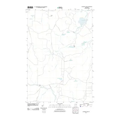 2010 Map of Coleman Lake, 2010 Print