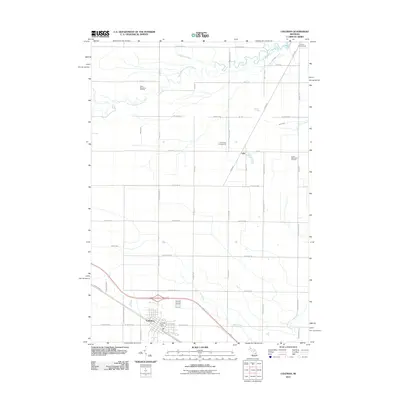 2011 Map of Coleman, 2011 Print