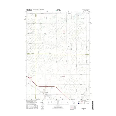 2017 Map of Coleman, 2017 Print
