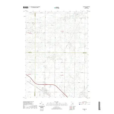 2019 Map of Coleman, 2019 Print