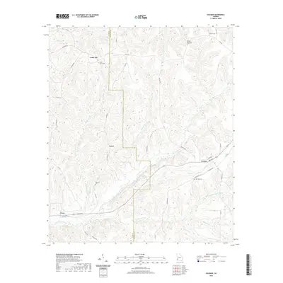 2020 Map of Coleman, 2020 Print