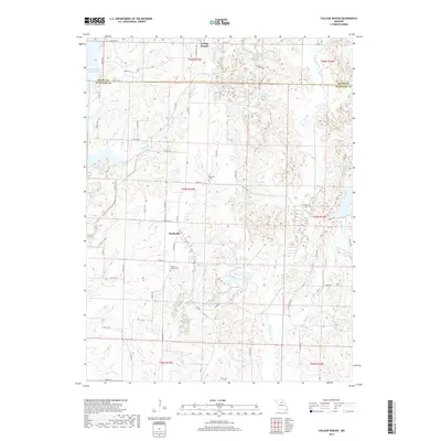2017 Map of College Mound, 2017 Print