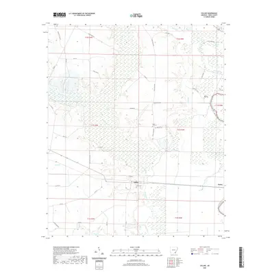 2020 Map of Collins, 2020 Print
