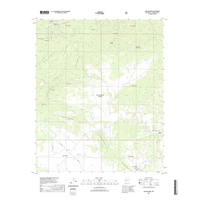 2020 Map of Collins Park, 2020 Print