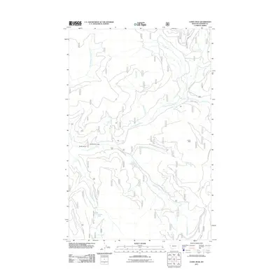 2011 Map of Coney Peak, 2011 Print