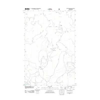 2011 Map of Cooper Ridge, 2011 Print