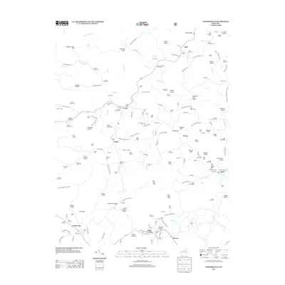 2013 Map of Coopersville, 2013 Print