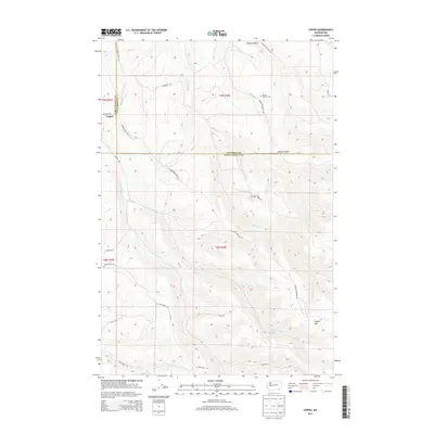 2013 Map of Coppei, 2013 Print
