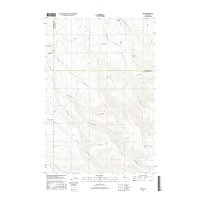 2017 Map of Coppei, 2017 Print