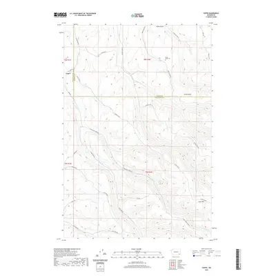 2020 Map of Coppei, 2020 Print