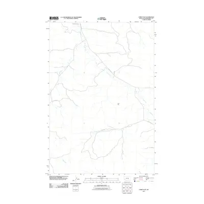 2011 Map of Corey Flat, 2011 Print