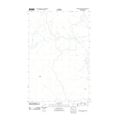 2011 Map of Corrigan Mountain, 2011 Print