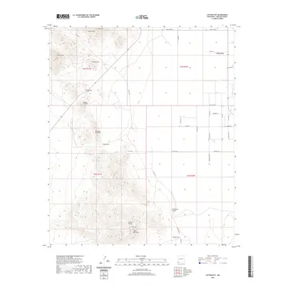2020 Map of Cotton City, 2020 Print