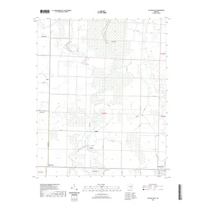 2020 Map of Cotton Plant, 2020 Print