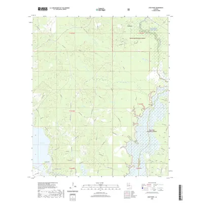 2020 Map of Coup Point, 2020 Print