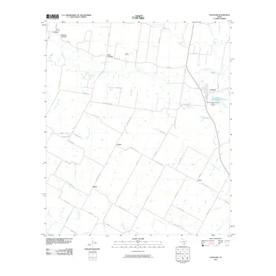 2010 Map of Coupland, 2010 Print