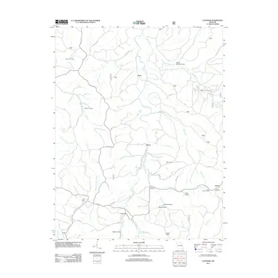 2011 Map of Courtois, 2011 Print
