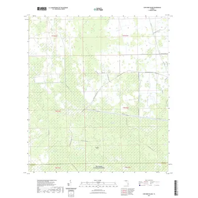 2021 Map of Cow Bone Island, 2021 Print