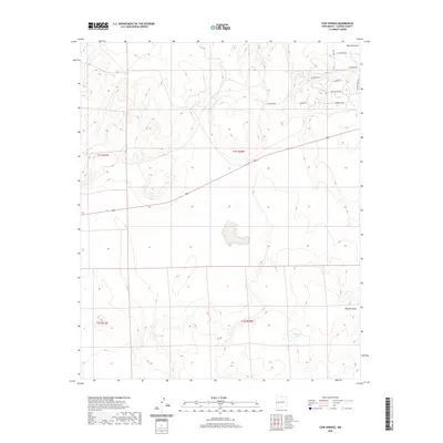 2020 Map of Cow Springs, 2020 Print