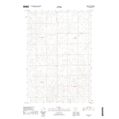 2020 Map of Crain Place, 2020 Print