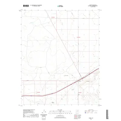 2020 Map of Cuervo, 2020 Print