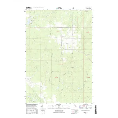 2017 Map of Curran, 2017 Print