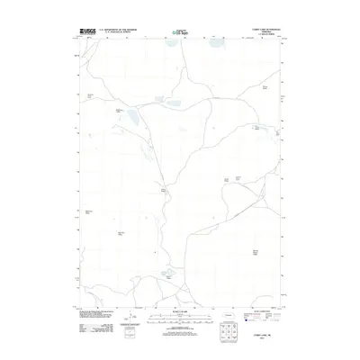 2011 Map of Curry Lake, 2011 Print