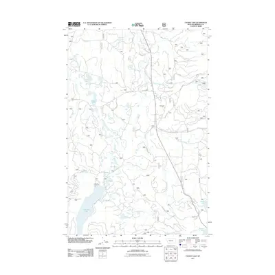 2011 Map of Cygnet Lake, 2011 Print