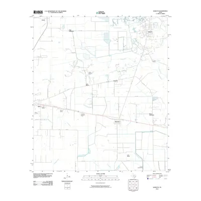 2010 Map of Daisetta, 2010 Print