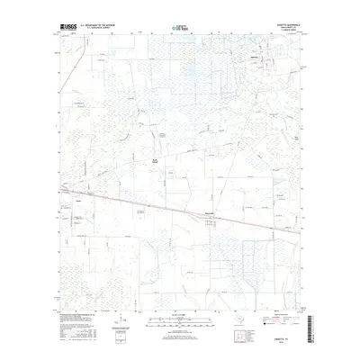 2016 Map of Daisetta, 2016 Print
