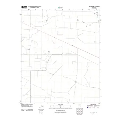 2010 Map of Dallas Store, 2010 Print