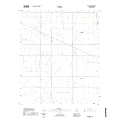 2020 Map of Dallas Store, 2020 Print