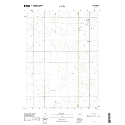 2017 Map of Dallas, 2017 Print