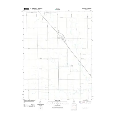 2012 Map of Dalton City, 2012 Print