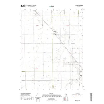 2018 Map of Dalton City, 2018 Print