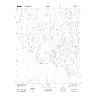 2011 Map of Dane Canyon, 2011 Print