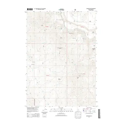 2013 Map of Danskin Peak, 2013 Print