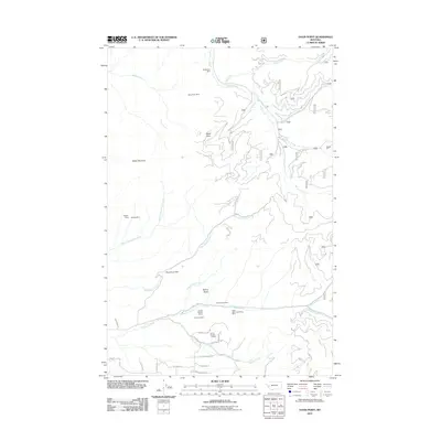2011 Map of Davis Point, 2011 Print