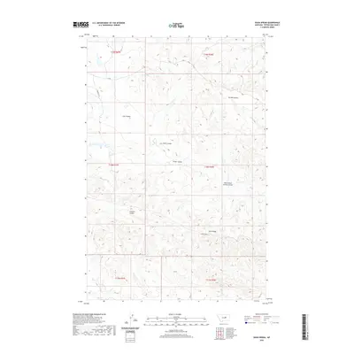 2020 Map of Davis Spring, 2020 Print