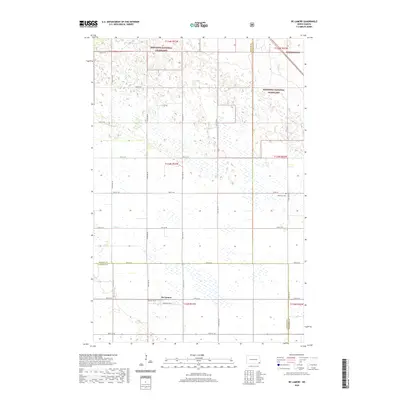 2020 Map of De Lamere, 2020 Print