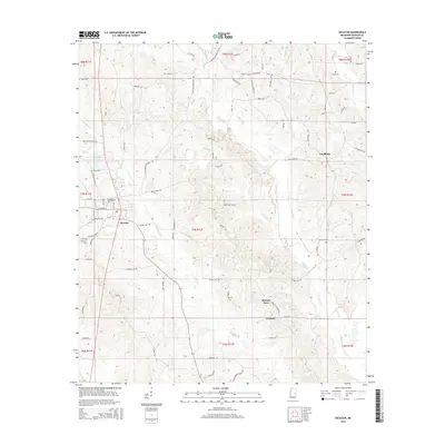2015 Map of Decatur, 2015 Print