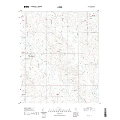 2020 Map of Decatur, 2020 Print