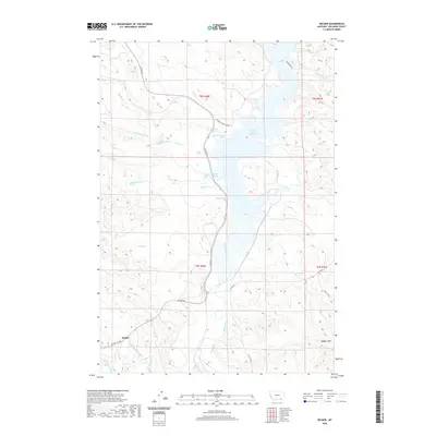 2020 Map of Decker, 2020 Print