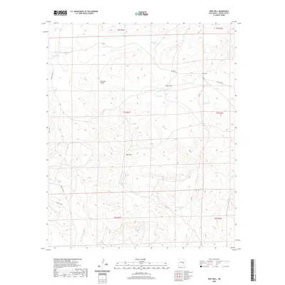 2020 Map of Deep Well, 2020 Print