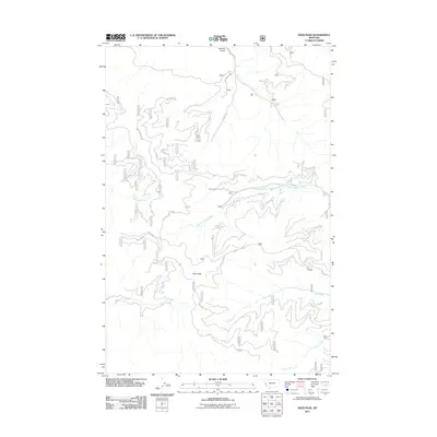 2011 Map of Deer Peak, 2011 Print
