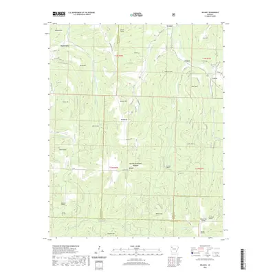 2020 Map of Delaney, 2020 Print