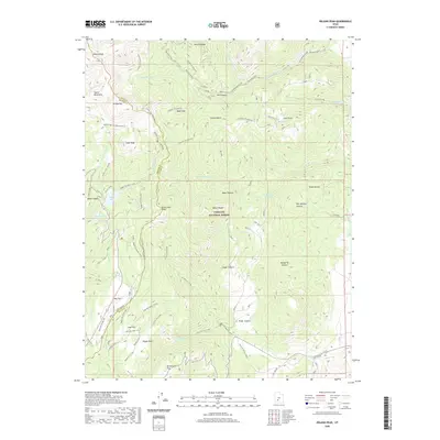2020 Map of Delano Peak, 2020 Print