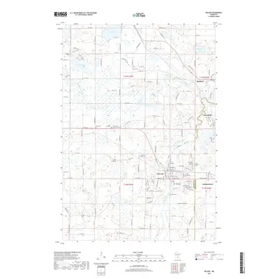 2019 Map of Delano, 2019 Print